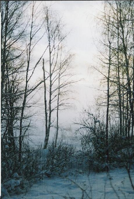 Talvinen kuva vuosaaresta, joka on otettu jrjestelmkameralla